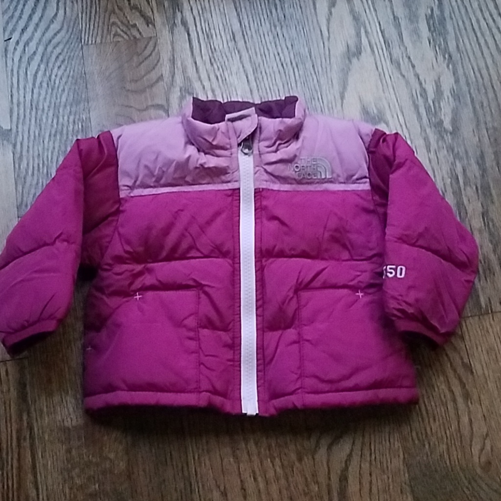 The North Face Jacket Down 550 3 6 Months Girl
